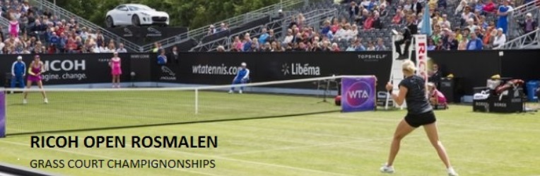 Tennis Rosmalen Open 2016.jpg